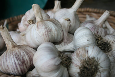 loose garlic